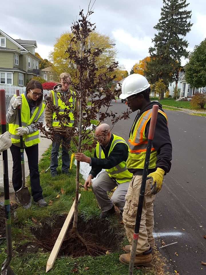 Getting to Know USDA Forester Eric Greenfield – New York State Urban ...