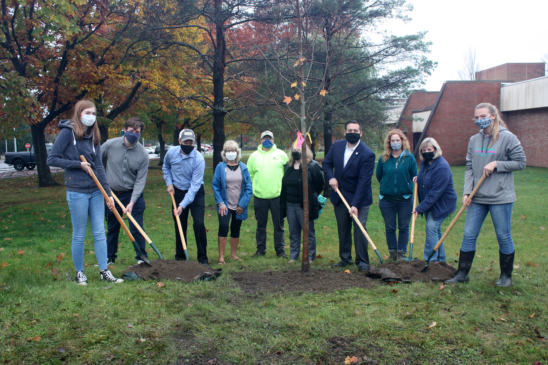 Tree planting nyc information