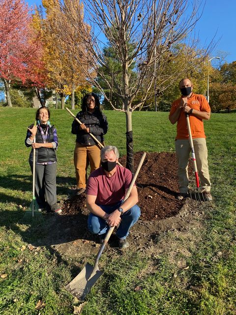 Beacon’s Fall Planting with Aid of Council Grant – New York State Urban ...